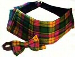 Scottish Tartan Ties & formal wear