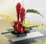high style & exotic fresh flower arrangements