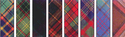 irish murphy tartan